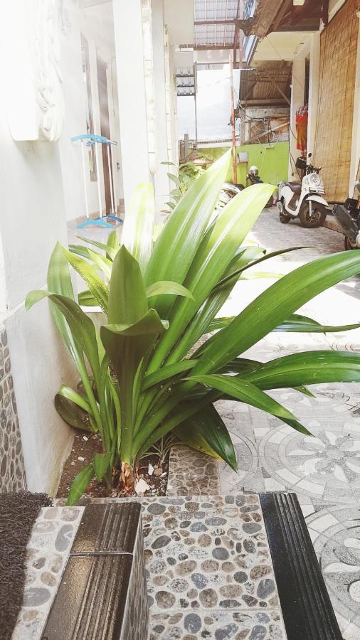 Bali Dd Homestay Seminyak Exterior foto